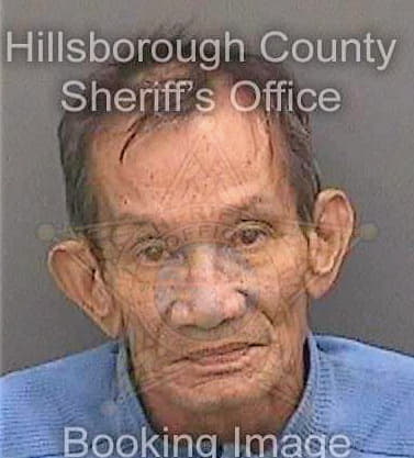 Le Nghi - Hillsborough County, FL 