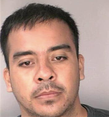 Carbajal Oscar - Hillsborough County, FL 