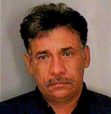 Mendoza Reynaldo - Polk County, FL 
