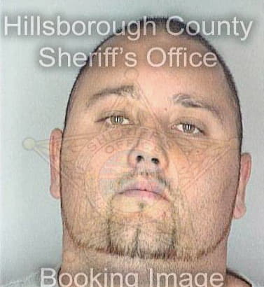 Acevedo Christopher - Hillsborough County, FL 