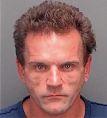 Lindsay David - Pinellas County, FL 