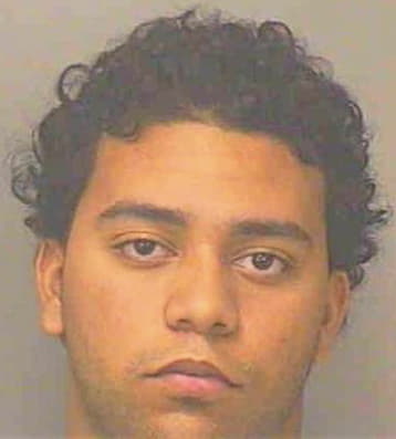 Pires Tommy - Polk County, FL 