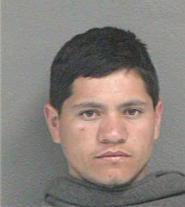 Bueno Gustavo - Wyandotte County, KS 