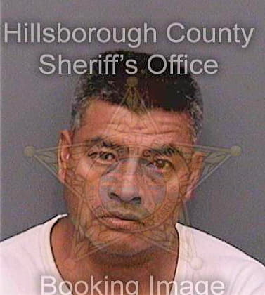 Martinezortiz Jose - Hillsborough County, FL 