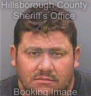Reyes Isaias - Hillsborough County, FL 
