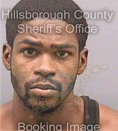 Dawson Jarvis - Hillsborough County, FL 