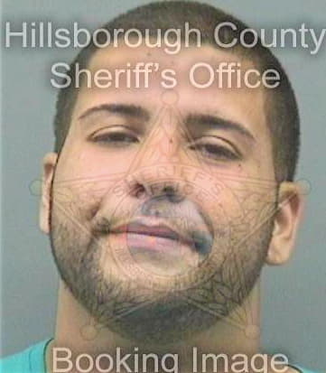 Ghaffarzadeh Javid - Hillsborough County, FL 
