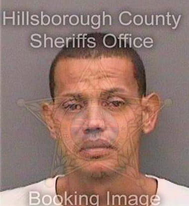 Suarez-Perez Jose - Hillsborough County, FL 
