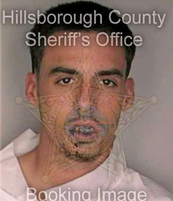 Hauk Justin - Hillsborough County, FL 