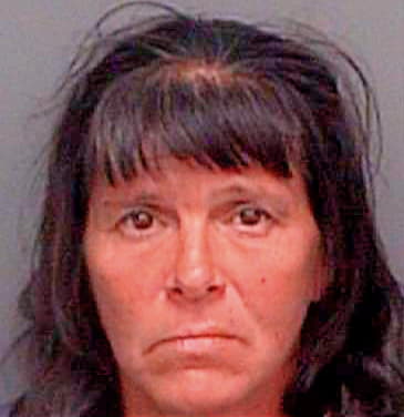 Parker Lisa - Pinellas County, FL 