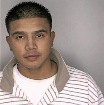 Pinto Mauro - Hillsborough County, FL 