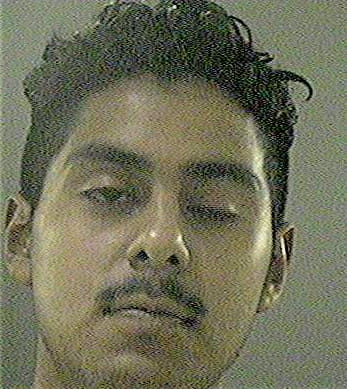 Bravo Rodrigo - Gwinnett County, GA 