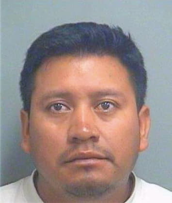 Velasquez Fernando - PalmBeach County, FL 