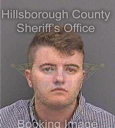 Mcbee Michael - Hillsborough County, FL 