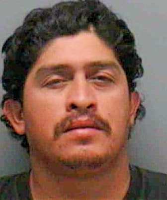 Chavarria-Amador Bladimir - Lee County, FL 