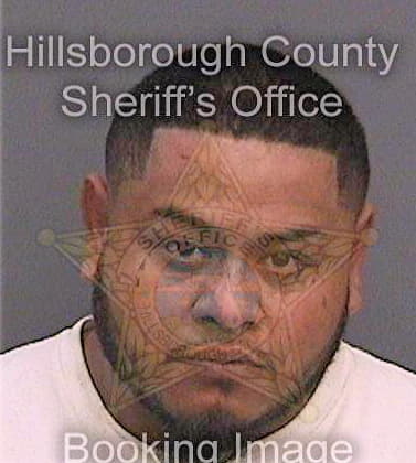 Hernandez Ernesto - Hillsborough County, FL 
