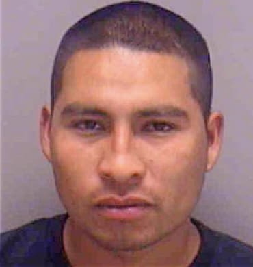 Garcia Alejandro - Lee County, FL 