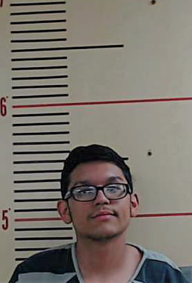 Pinto Carlo - Parker County, TX 