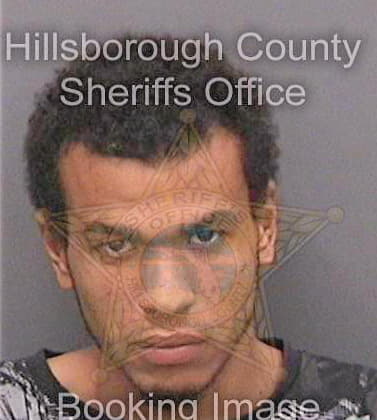 Linsley James - Hillsborough County, FL 