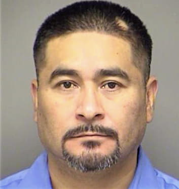Agavo Juan - Denton County, TX 