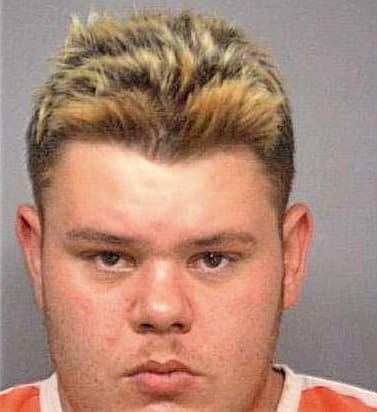 Dinovo Nicholas - Marion County, FL 