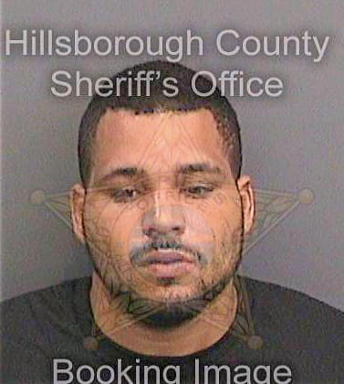 Garcia Rafael - Hillsborough County, FL 
