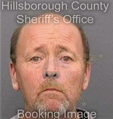 Ferguson Ronald - Hillsborough County, FL 