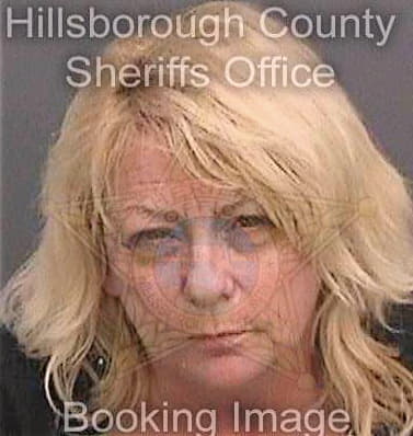 Frame Theresa - Hillsborough County, FL 