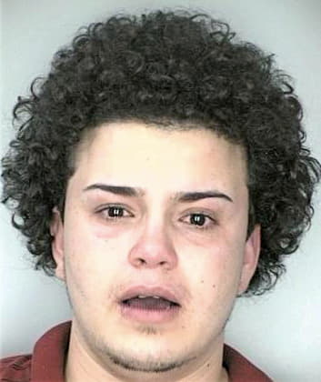 Cintron Arnaldo - Hillsborough County, FL 