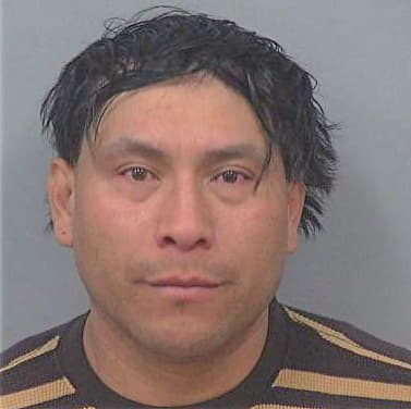 Avalos-Alcantar Eduardo - Gwinnett County, GA 