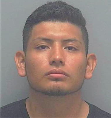 Castillo Erick - Lee County, FL 