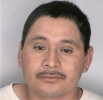 Godillo Godolfino - Hillsborough County, FL 