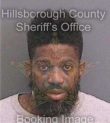 Reeves Harold - Hillsborough County, FL 