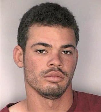 Silva Frankie - Hillsborough County, FL 