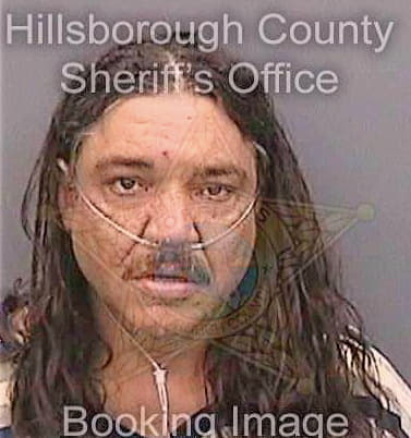 Perezortiz Luis - Hillsborough County, FL 