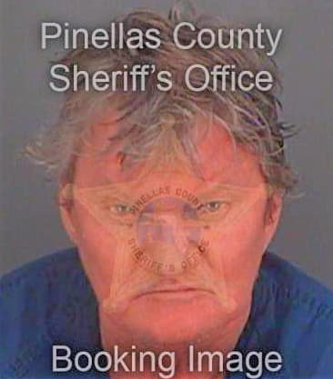 Tynan Michael - Pinellas County, FL 