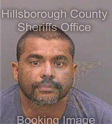 Daievarghese Raynold - Hillsborough County, FL 