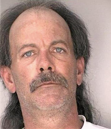 King David - Hillsborough County, FL 