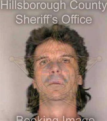 Parsons David - Hillsborough County, FL 