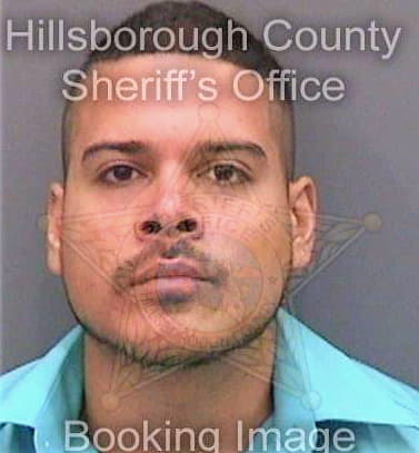 Chavez Elianel - Hillsborough County, FL 