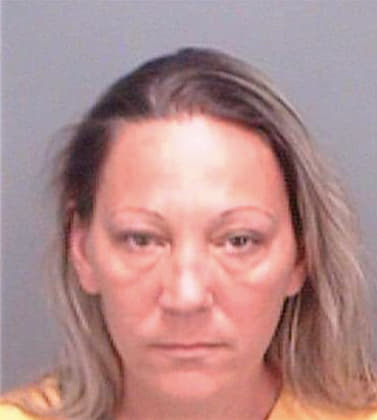 Alexander Kristen - Pinellas County, FL 