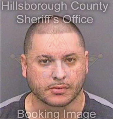 Cardenas Mauricio - Hillsborough County, FL 