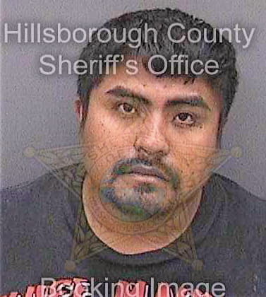 Tapiaruiz Rosendo - Hillsborough County, FL 