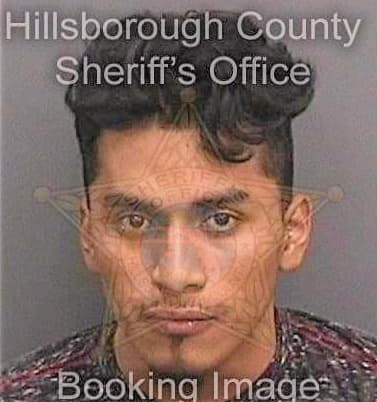 Aguilarmartinez Alex - Hillsborough County, FL 