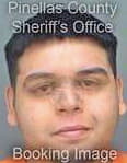 Navarro Alfonzo - Pinellas County, FL 