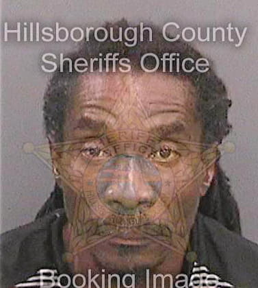 Francois David - Hillsborough County, FL 