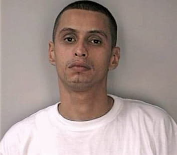 Garcia Emilio - Hillsborough County, FL 