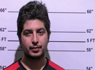 Bravo-Salazar Joel - Gillespie County, TX 