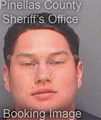 Trieu Joshua - Pinellas County, FL 
