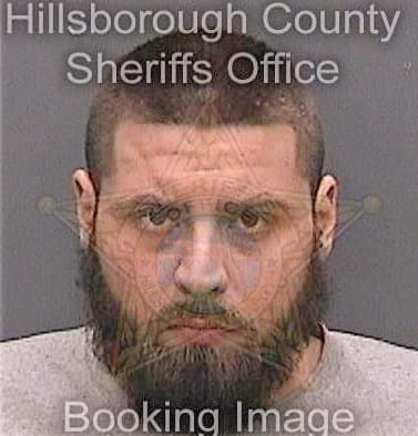 Destino Luigi - Hillsborough County, FL 